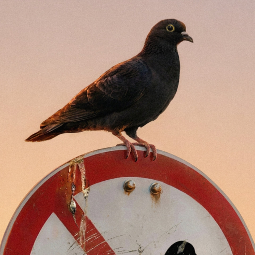 Be a Rebel