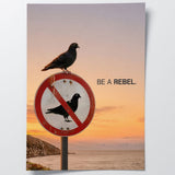 Be a Rebel