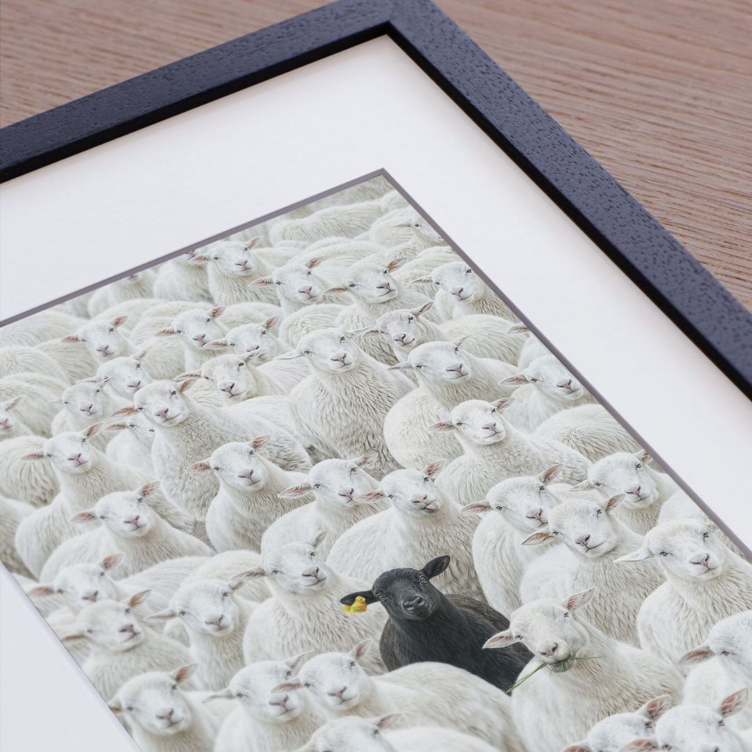 The Black Sheep