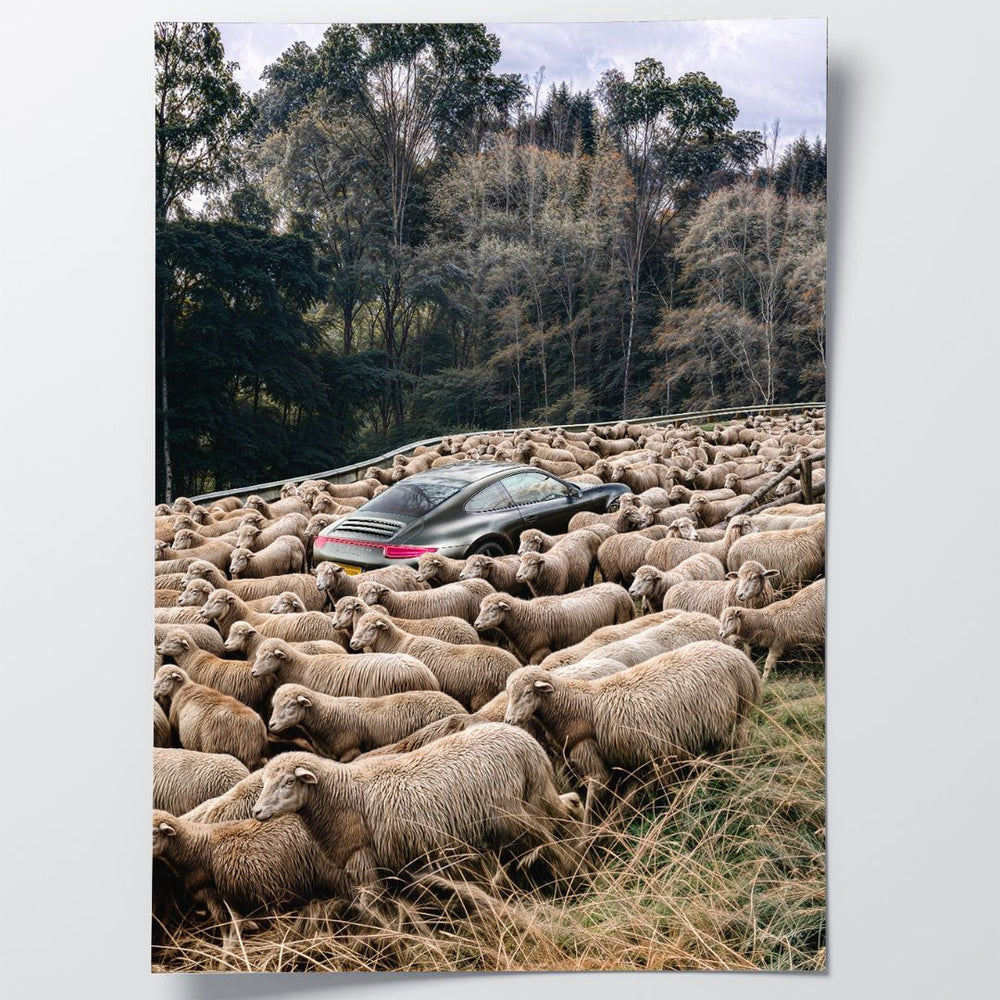 2PIECESET_3_5844decc-a8d6-4f4a