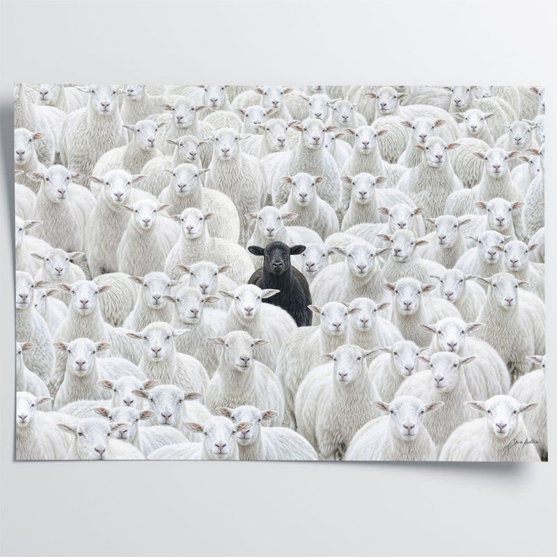 Black Sheep V.4