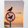 Be a Rebel