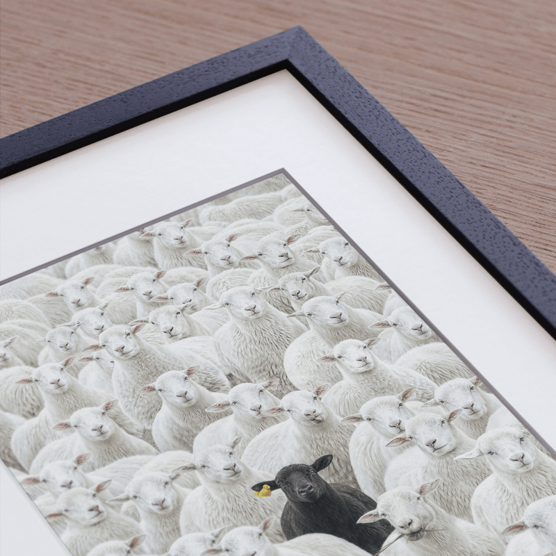 White Gallery Mat Board