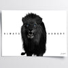 Lion N1.